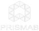 prismab-white-logo-png
